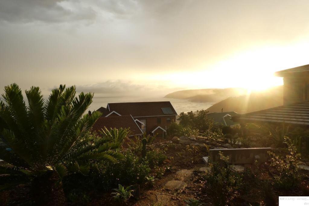 Wilderness Ocean View Cottage Eksteriør billede